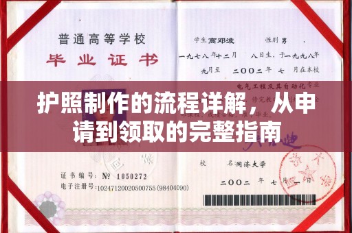 芳苑护照制作的流程详解，从申请到领取的完整指南